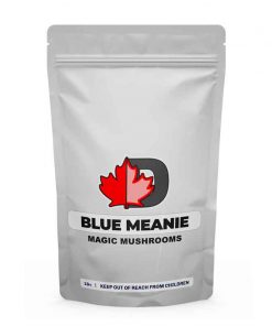 Blue Meanie Magic Mushrooms