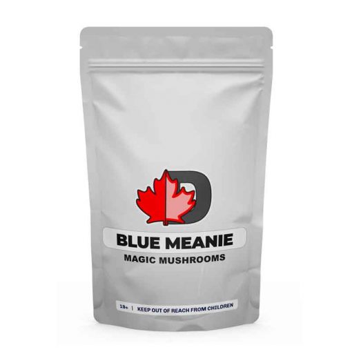 Blue Meanie Magic Mushrooms