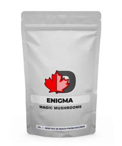 Enigma Magic Mushrooms