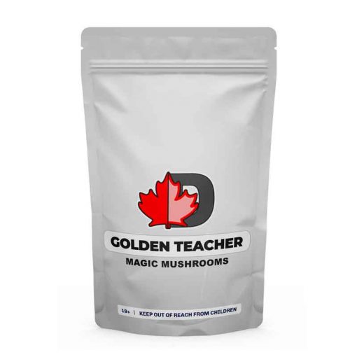 Golden Teacher Magic Mushrooms