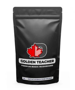 Golden Teacher Premium Magic Mushrooms