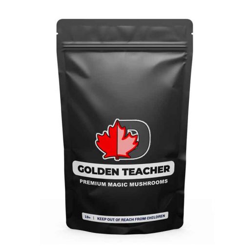 Golden Teacher Premium Magic Mushrooms