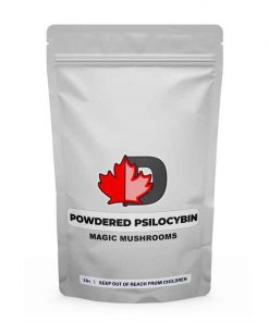 Powdered Psilocybin Mushroom