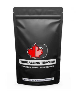 True Albino Teacher Premium Magic Mushrooms