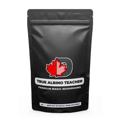 True Albino Teacher Premium Magic Mushrooms