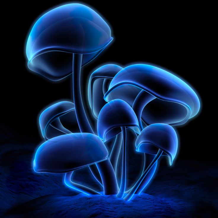 The Role of LSD in Enhancing Learning and Memory Retention