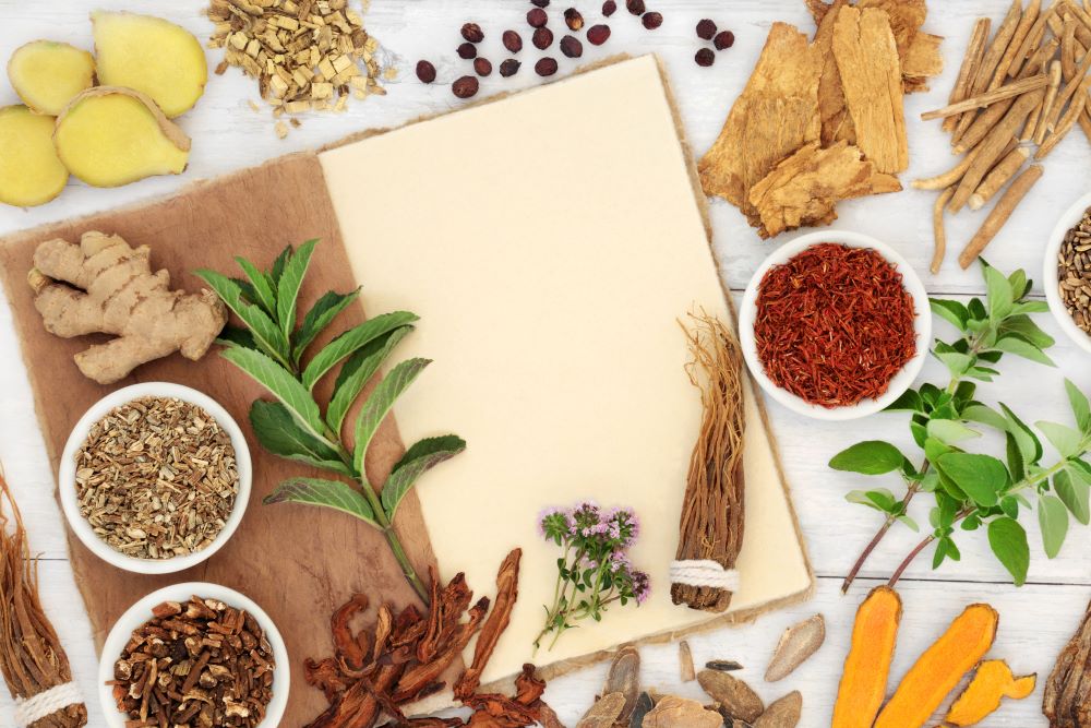 How Adaptogenic Mushrooms Support Hormonal Balance and Sleep