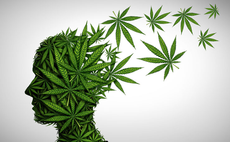 Do Different Cannabis Strains Influence Brainwave States Differently?